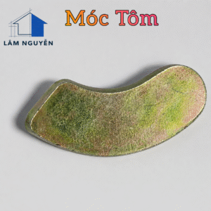 Móc tôm