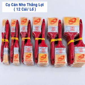 Cọ cán nho TL